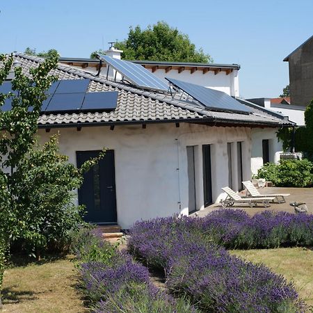 바이덴 암 제 Strohlehm'Zhaus 아파트 외부 사진