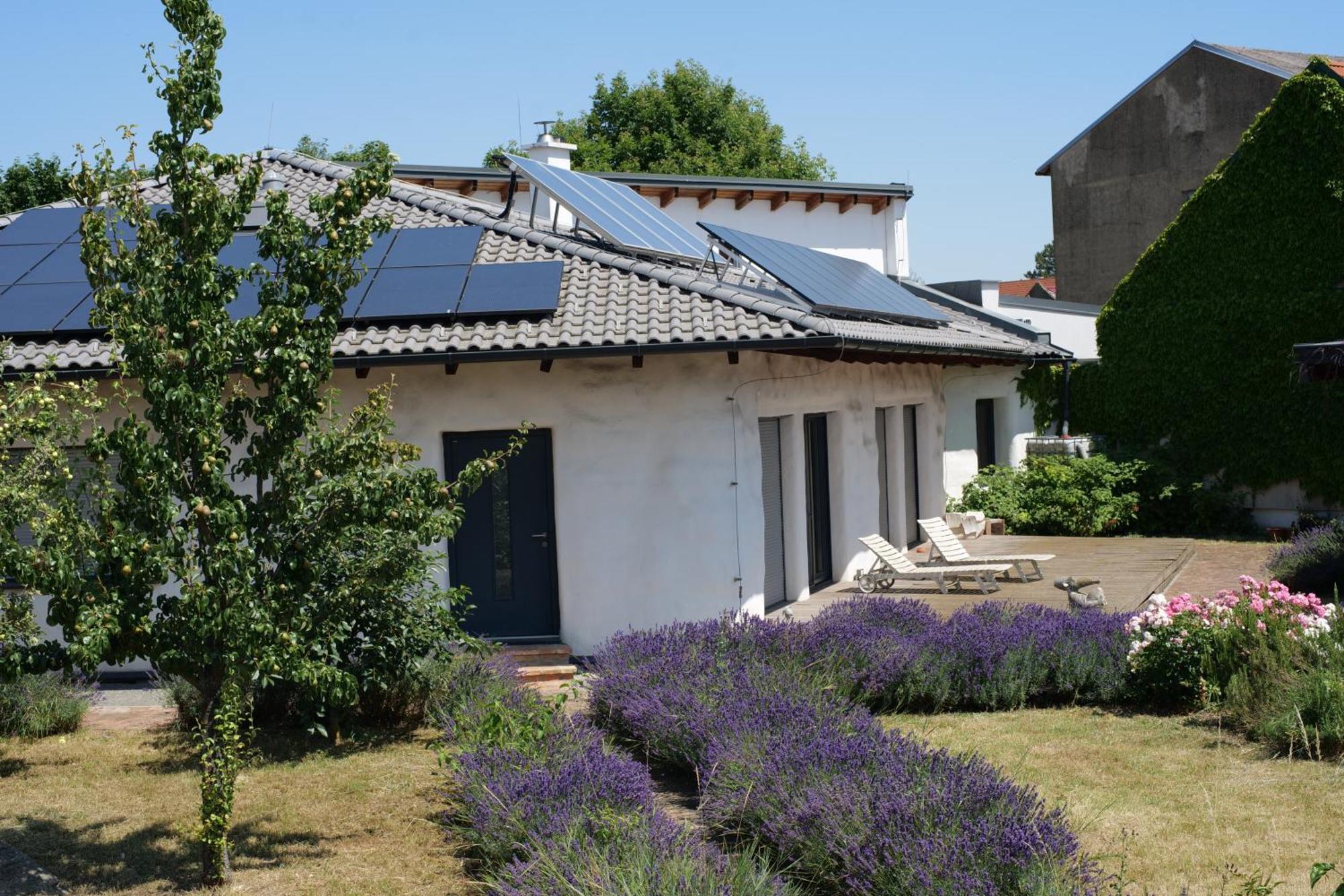 바이덴 암 제 Strohlehm'Zhaus 아파트 외부 사진